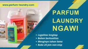 Read more about the article Parfum Laundry Ngawi, Wangi Tahan Lama dan Berkualitas untuk Bisnis Anda