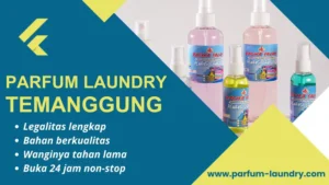 Read more about the article Parfum Laundry Temanggung, Wangi Eksklusif dan Tahan Lama